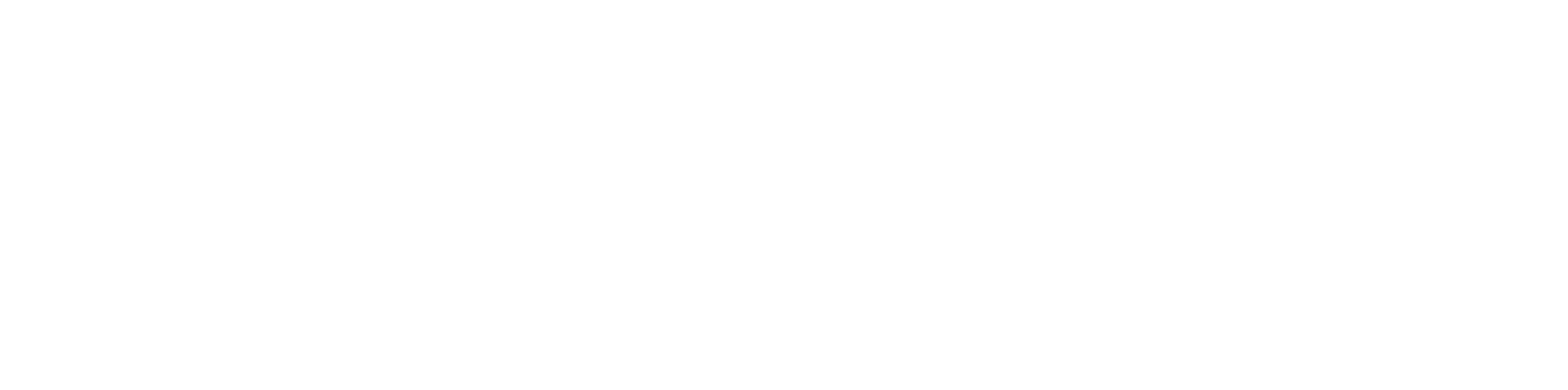 Blue Cross Blue Shield